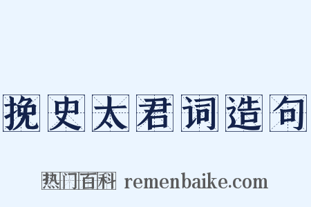 挽史太君词造句是什么意思的图片
